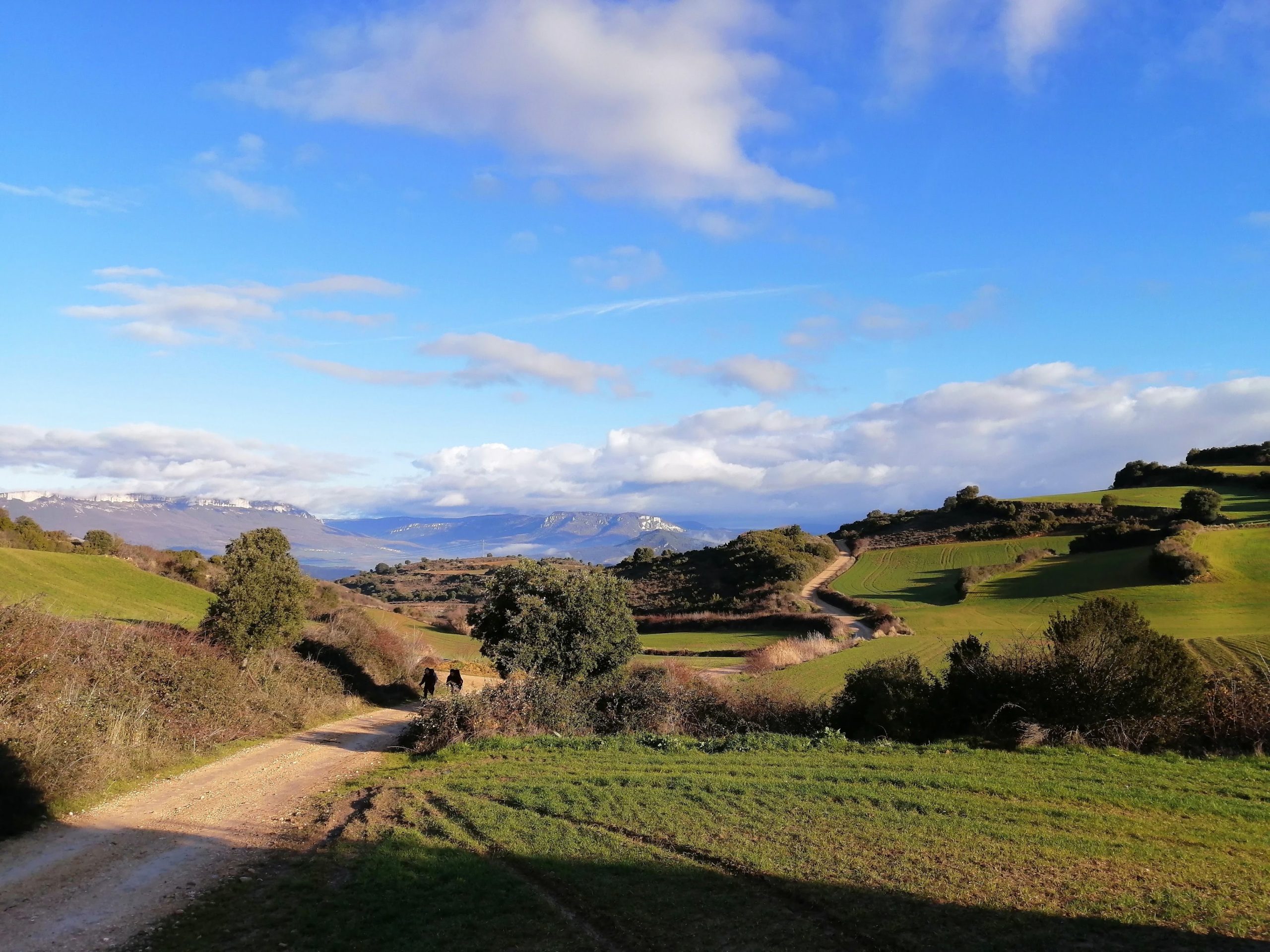 Camino de Santiago